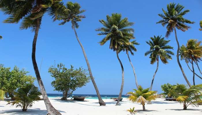 Muhathuwaram, C’est l’une des meilleures plages du Sri Lanka