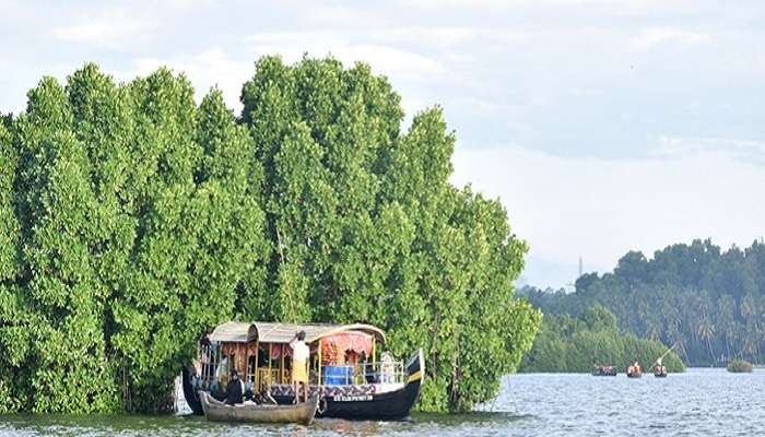 There is easy access to the lake from Munroe Island Lake Resort in Kerala. 
