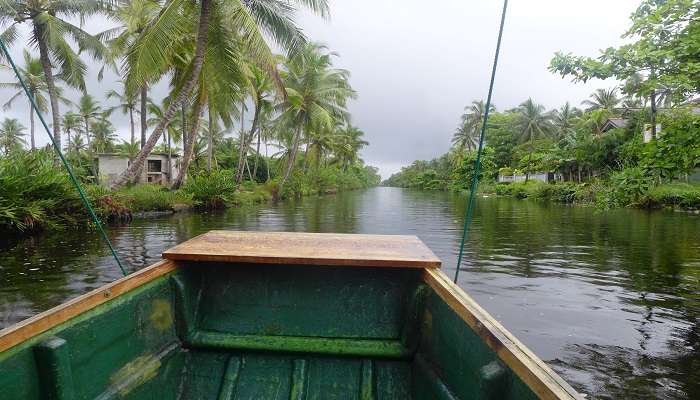 A memorable boat ride to explore Muthurajawela Marsh