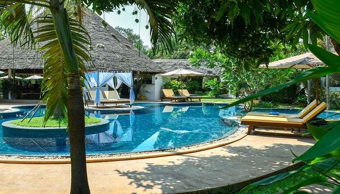 The Pool of the Navutu Dreams Resort & Wellness Retreat