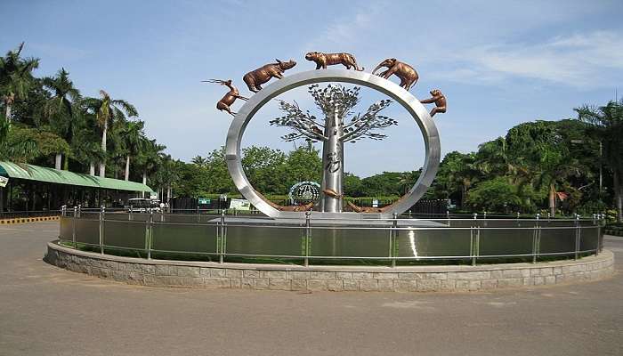 See birds and animals at the Nehru Zoological Park near Sanjeevaiah Park