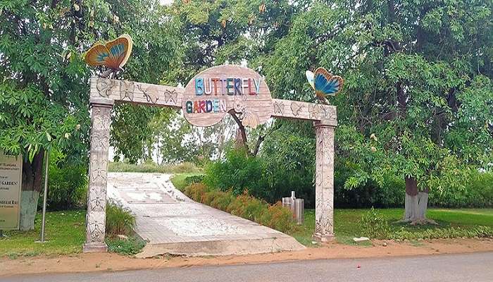 Visit the butterfly park at the Sanjeevaiah Park