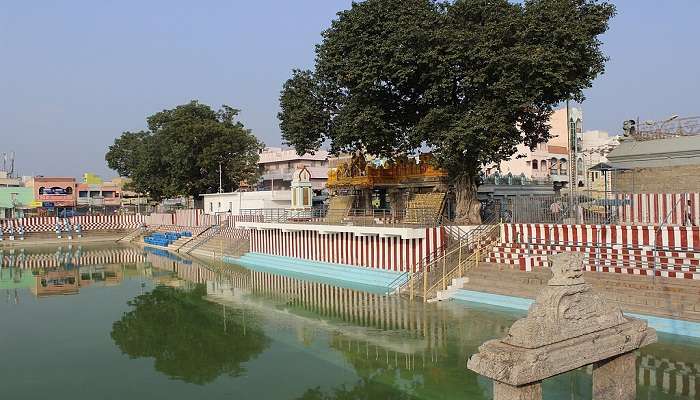 Serene lake near Sri Padmavathi Ammavari Temple in Tirupati