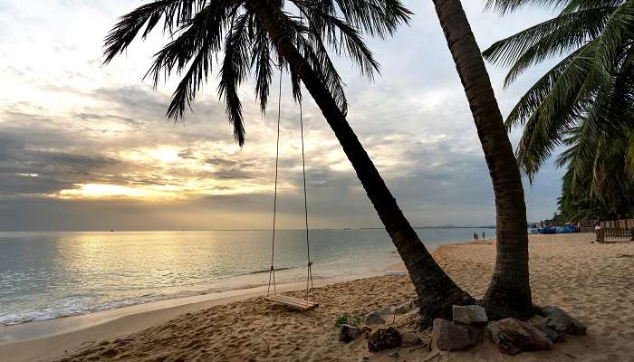 Palm tree swing at Ahangama Beach Sri Lanka is a must-do activity.