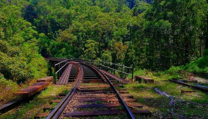 A Beautiful view of the rail tracks to reach to the Shanthipura viewpoint.