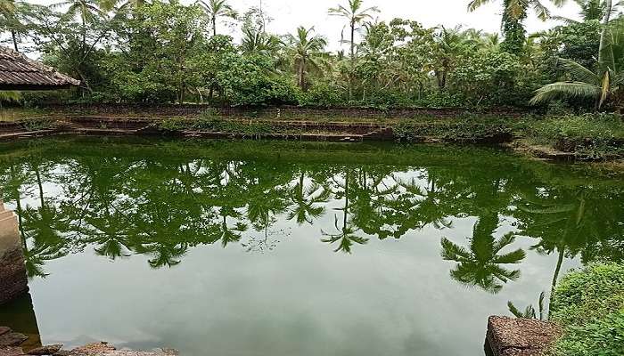 Temple pond of Kerala