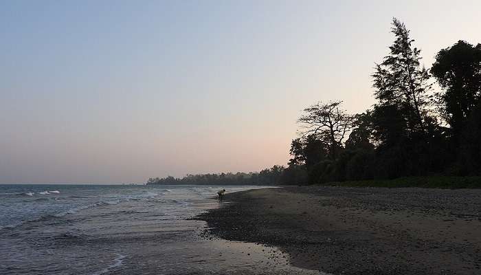 Another offbeat location to witness mangroves in the Andaman and Nicobar Islands is at Rangat.