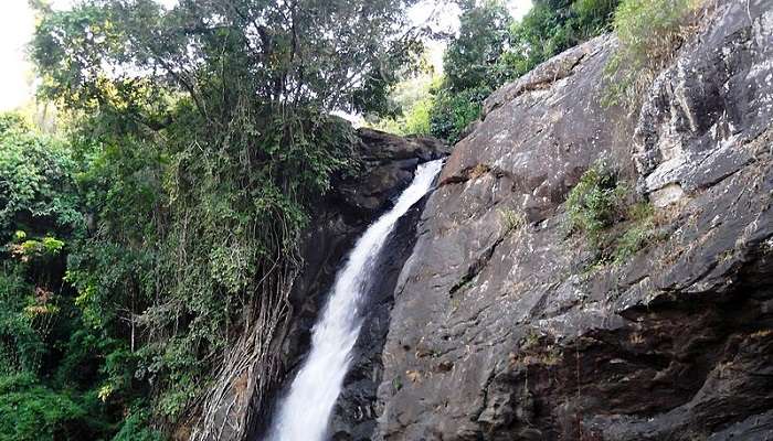 Visiting the Soochipara Waterfalls in Kerala