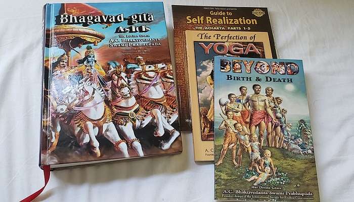 You can find a range of religious books, such as pocket Bhagavad Gita at Badrinath