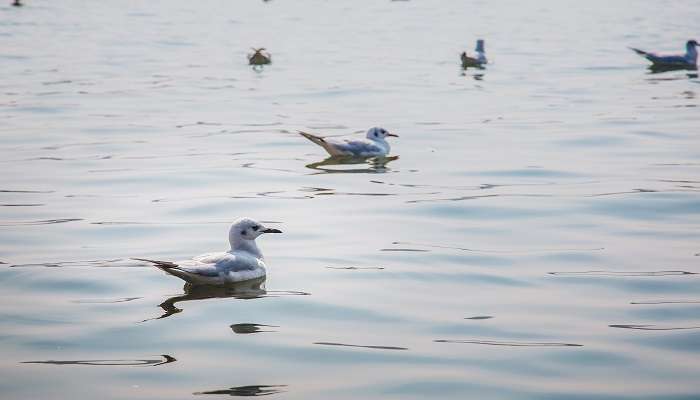 The holy Sangam Ghat Prayagraj