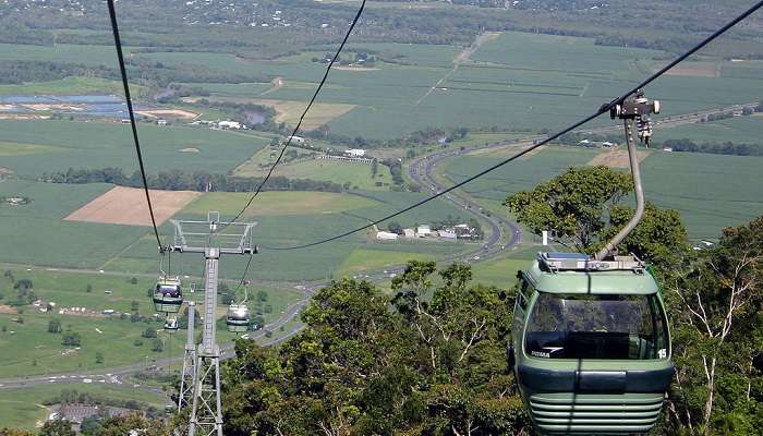 One of the best things to do in Cairns is ride the Skyrail