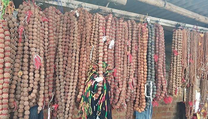 So many Rudraksha beads of dark brown colour