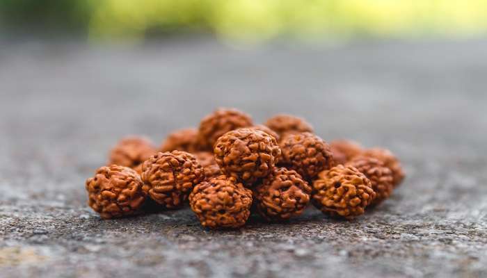 Rudraksha beads are some of the most famous things to buy in Badrinath