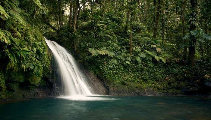 The stunning Sai Yok Yai Waterfall amidst the green trees