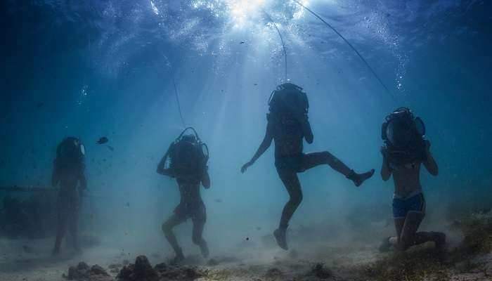 Enjoy sea walking in groups 