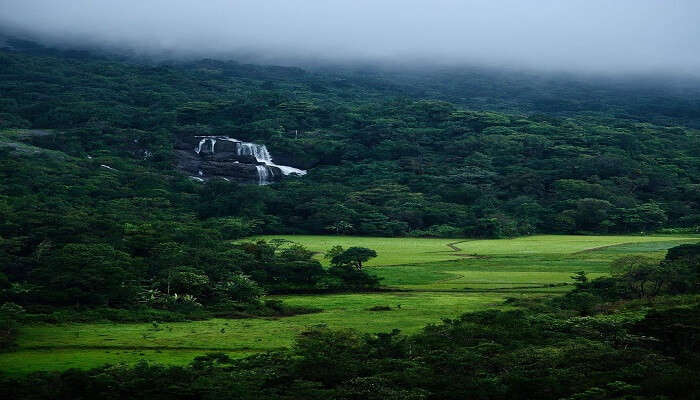 A foggy day in Madikeri 