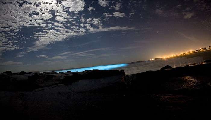 See bioluminescent plankton