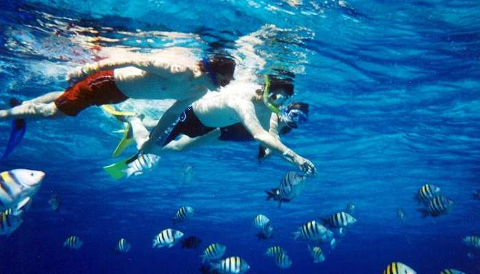 Govind Nagar Beach Scuba diving is one of the main attractions of the beach.