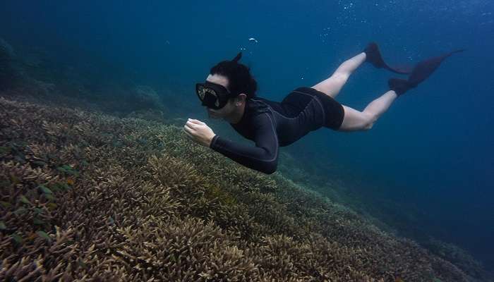 It is perfect destination to snorkel for a better view of underwater.