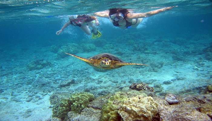 If you are feeling adventurous then go snorkeling 