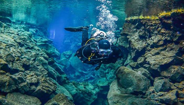 Snorkelling is a must while you are at Yung Island. 