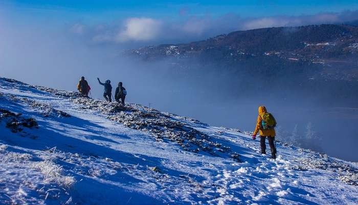 Go for trekking in the mountains