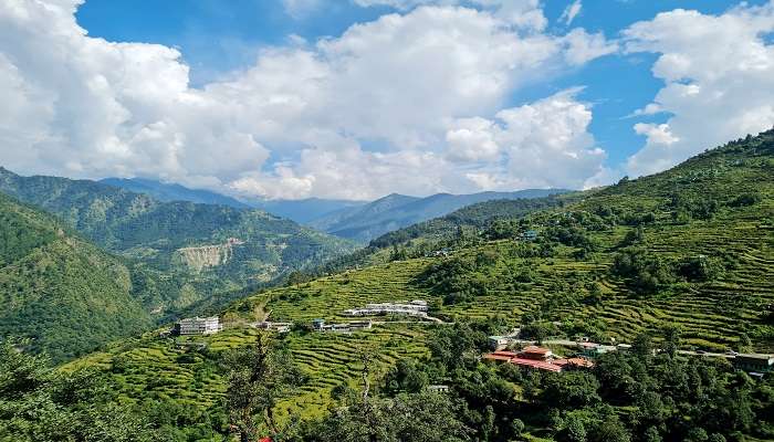  Witness the lush green meadows on the way to Sonprayag 