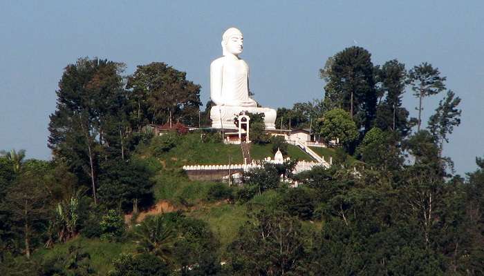 Statue de Bouddha Bahiravokanda Vihara, C’est l’une des plus beaux endroits du Sri Lanka
