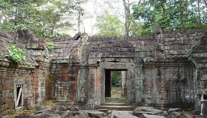 Ta Nei Temple is surrounded by the captivating beauty of the Cambodian jungle.