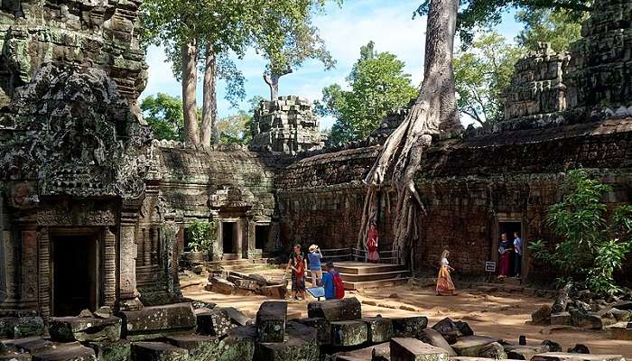 Inside Ta Prohm Temple in Cambodia