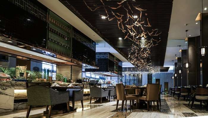 Beautiful modern interior of dining place at Taj Theog Resorts and Spa