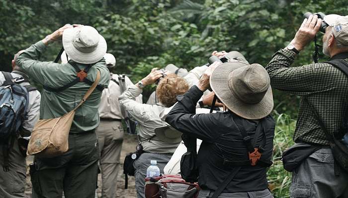 A group of tourists engaged in birdwatching 