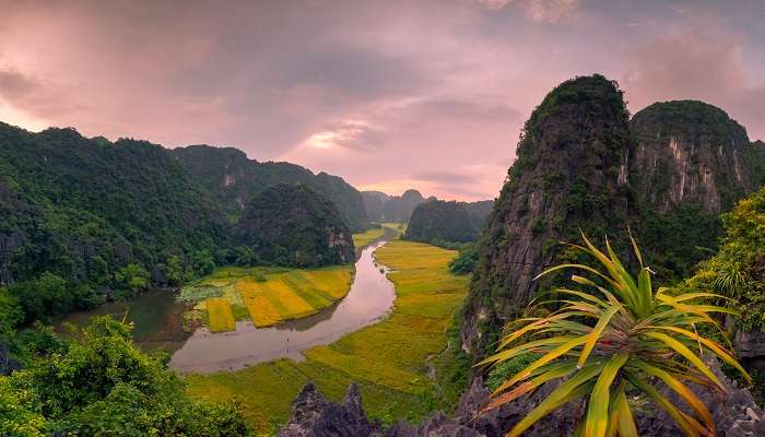 Tam Coc Serenity Hotel and Bungalow is one of the best resorts in Ninh Binh