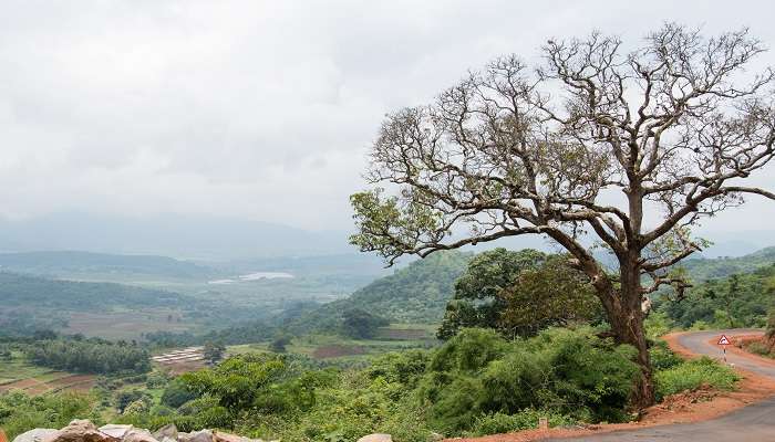 Thajangi reservoir to visit from hotels near Lambasingi
