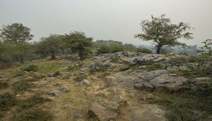 Govardhan Hill lifted by Lord Krishna 