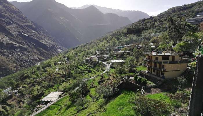 View of a valley in Joshimath in Uttarakhand from Homestays Of Joshimath