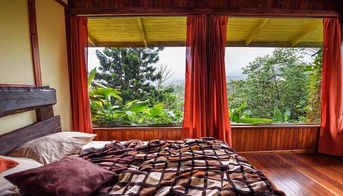 Amidst the Jungle enjoying the serene views at hotels in jageshwar