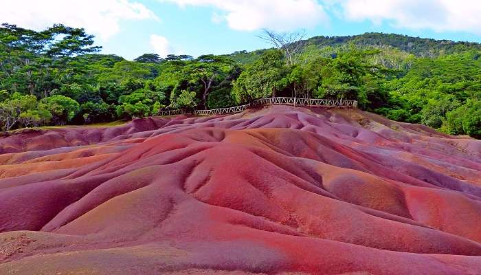 The wooden fencing at the Seven coloured earth of Chamarel was built to preserve the geological site.