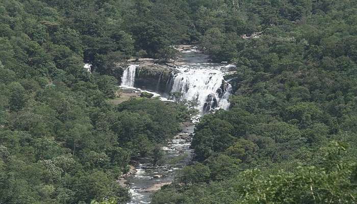 Thuvanam Waterfalls located in the Chinnar Wildlife Sanctuary 