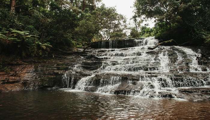 Dipping your toes while admiring nature is one activity you can do here