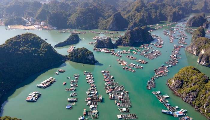 You will have to take a boat to reach Lan Ha Bay.