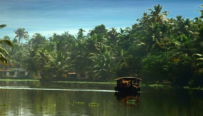 Experience ferry ride in the backwaters of Kerala