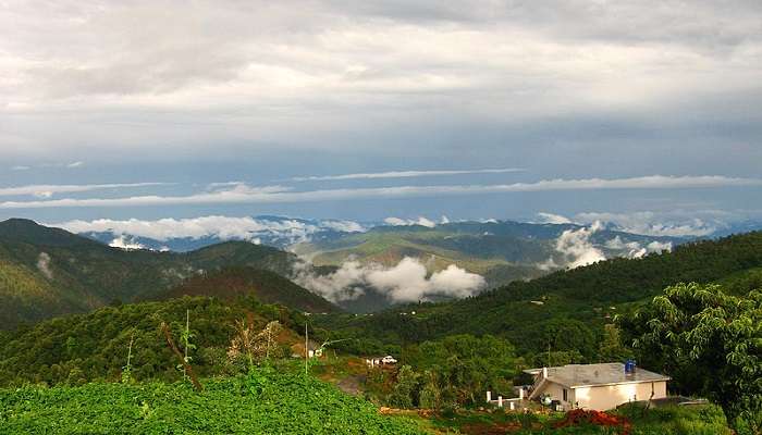 The lush greenery and valleys of Uttrakhand from Moila Top