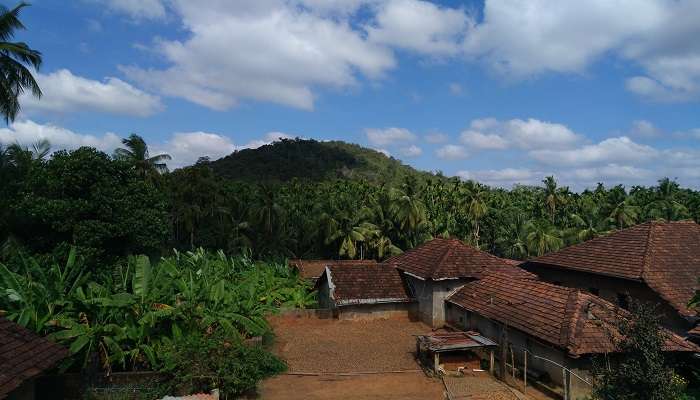A homestay in Sirsi lets you explore the luscious gardens of Karnataka.