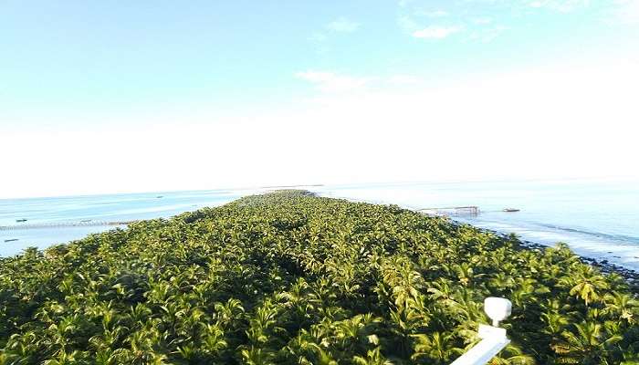 The panoramic view from a lighthouse 