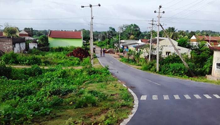 view of Road with greenery in Mysore District near Hotels In Hunsur
