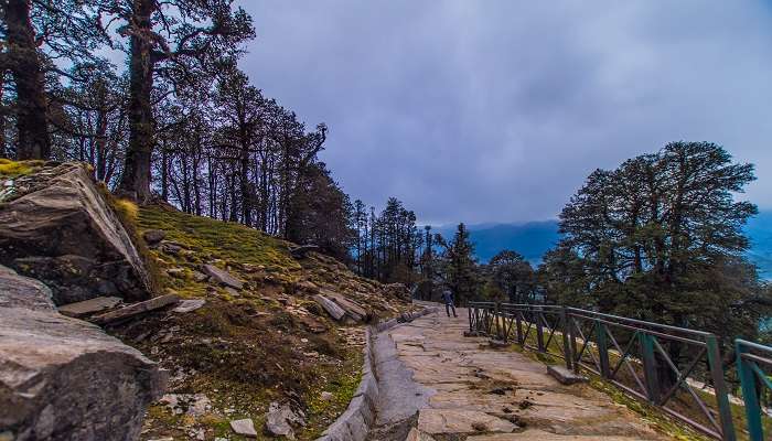 The Tungnath Trek is a popular trekking route starting from Chopta