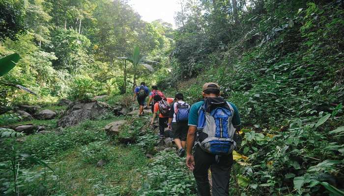Trek expedition towards Liril Falls