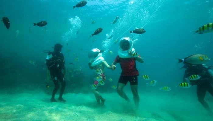 Among all the unique activities, seawater walking is definitely one of the best