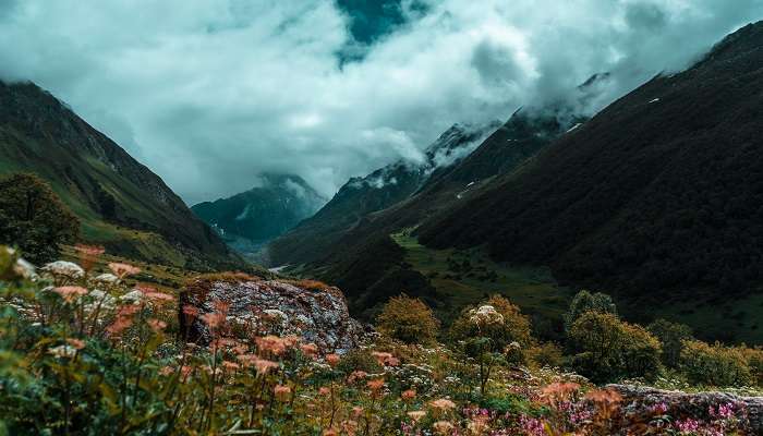 Valley Of Flowers near Nandaprayag which is a UNESCO World Heritage Site